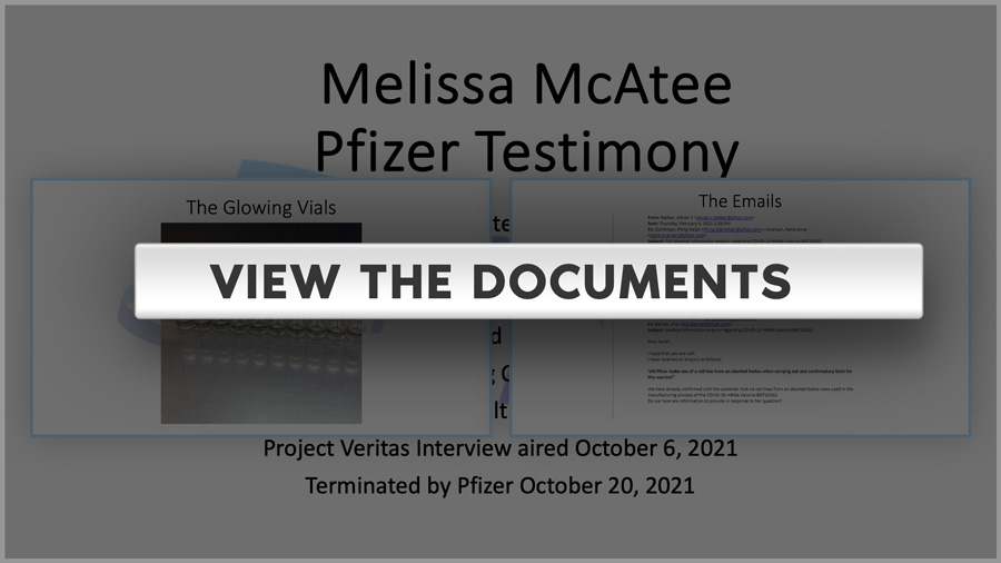 View The Melissa McAtee Documents